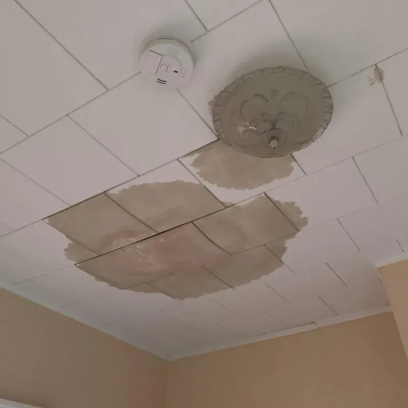 Ceiling Water Damage Repair in Hawthorn Woods, IL