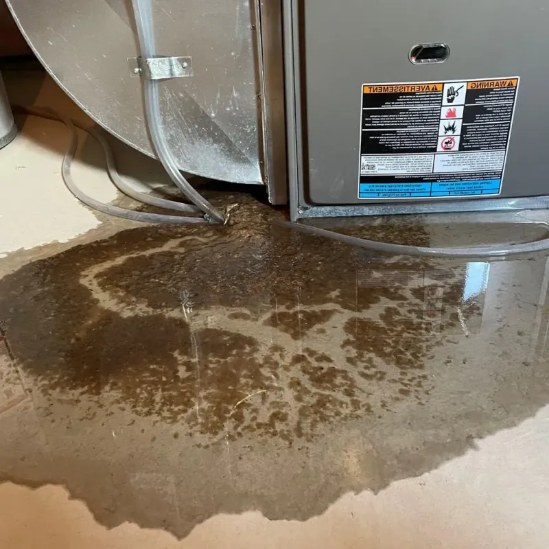 Pipe Burst and Leak Restoration in Hawthorn Woods, IL